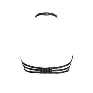 Burgundy Dogma Halter