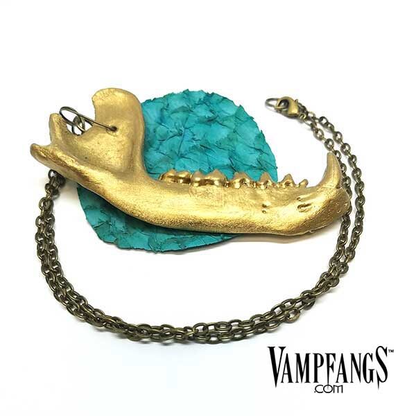 Raccoon Jaw Necklace