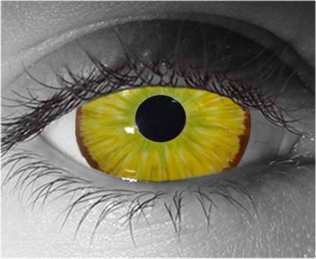 Avatar Sclera Contact Lenses 18mm – Gothika Custom – Pair